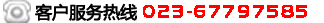 VI畫(huà)冊設計